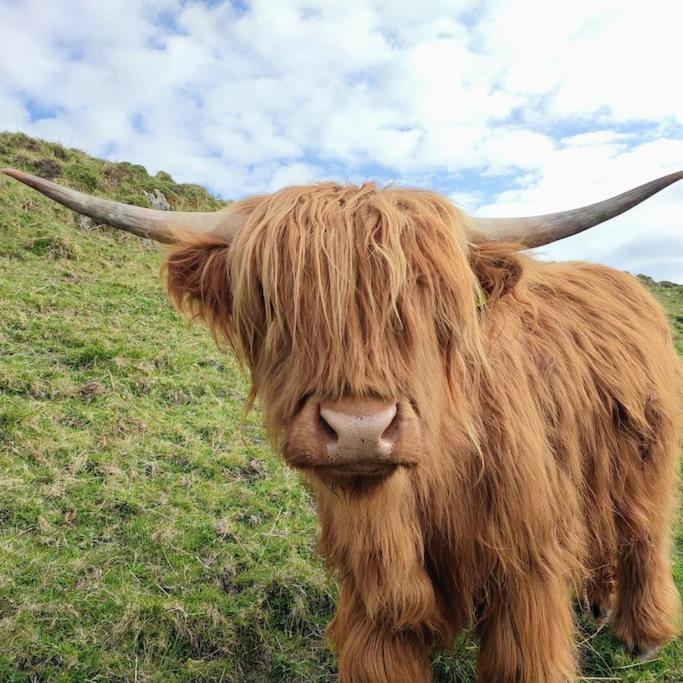 Tobar Nan Iasgair Lismore Achnacroish エクステリア 写真